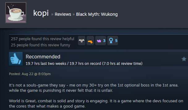 Screenshot of the article titled Dark Legend: Wukong, as reported by Steam Reviews